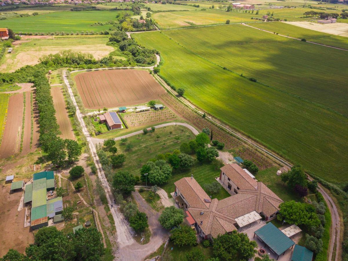 Agriturismo Zugarelli Anguillara Sabazia Extérieur photo